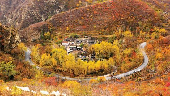 �S����ɫ(�zӰ��������)