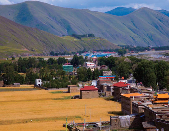 �����Ŀ���