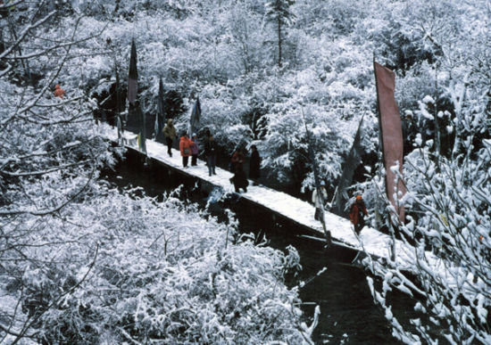 ����������D����Ȼ�в�����ǰ�� �DƬ����կ�Ϲ�����