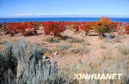 �@��10��18���ڼ�����˹˹̹�����˺��ݟἪ&mdash;�W��Ɲ�؅^(q��)�Ĕz�������˺�������