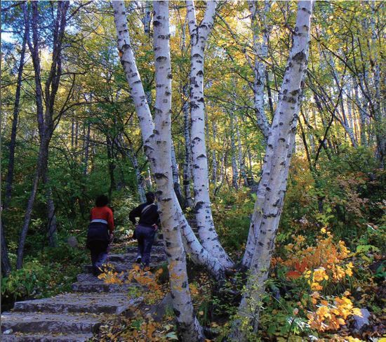 �����[��(�zӰ��Ҧ����)