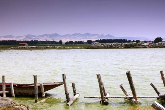 �o�o�ĺ���