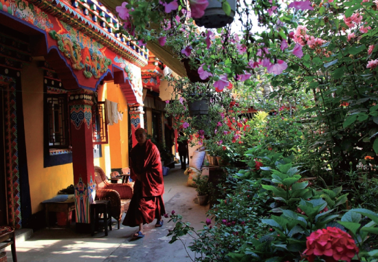 �r��׌�@�����и�������