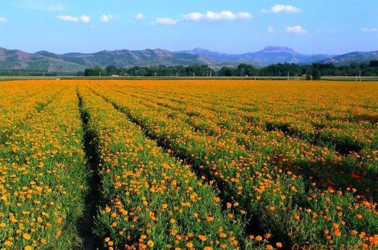 ��Ƭ���f(w��n)�۾�