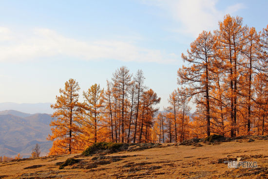 ��������(d��)�е�ɫ��