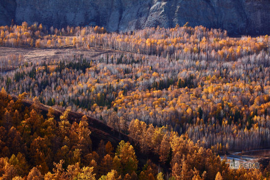 �ļ����棬��Ȼ�ʬF(xi��n)��ͬ����