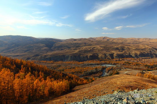 ���ܵ�ɭ��