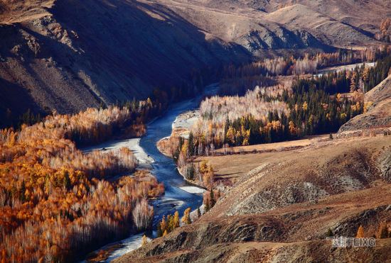 �{(l��n)ɫ�Ĺ��ͺ�