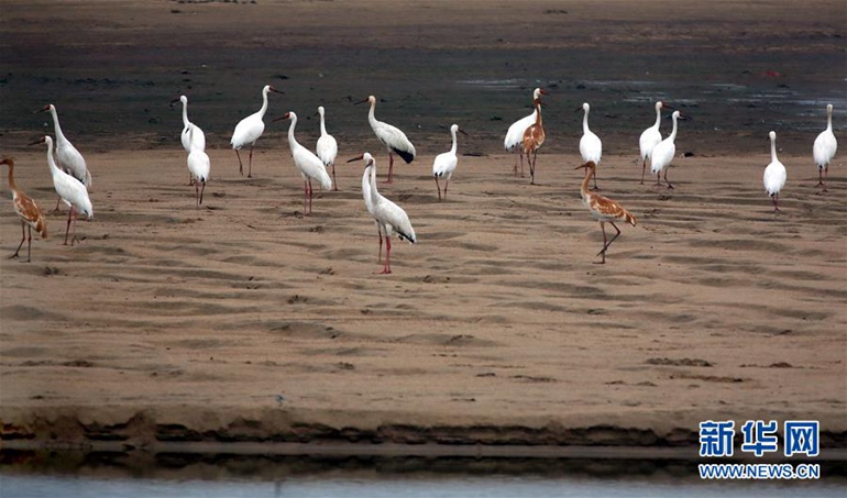 ���壺���Q�w�R��eɽ�^(q��)�|�ĺ�