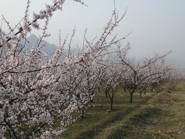 ���f (��������ί���D)