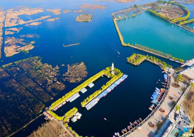 ֱ���A(y��)�棺����Ԓ������͸�^�vʷ���۰�