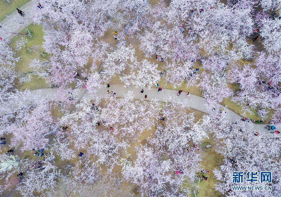 1120783570_14918249148451n