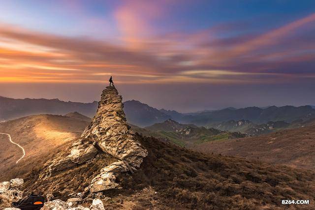 �Ї��zӰ���f(xi��)�����T�������b�������ľ�ɫ