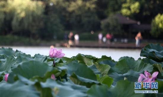 #���h(hu��n)������5�����K�P�ݣ�&ldquo;ĩ��&rdquo;���� �e��������箋