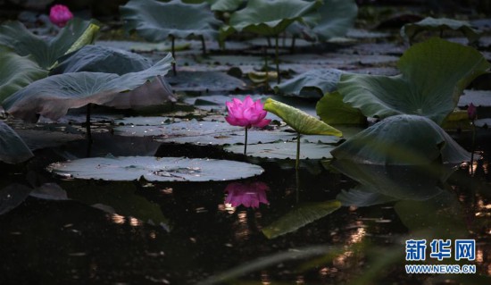 #���h(hu��n)������1�����K�P�ݣ�&ldquo;ĩ��&rdquo;���� �e��������箋