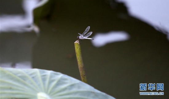 #���h(hu��n)������4�����K�P�ݣ�&ldquo;ĩ��&rdquo;���� �e��������箋