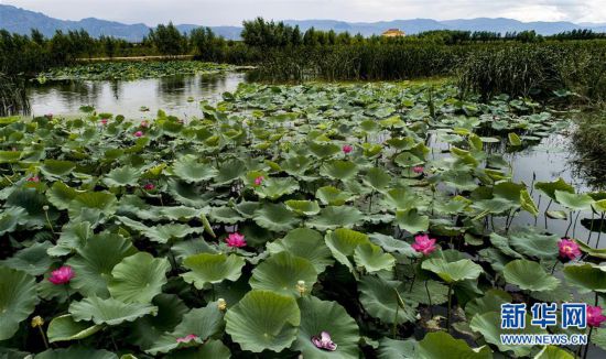 �������Ї�����5�������ӝ�� �����L(f��ng)�