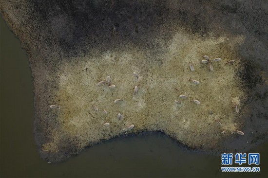 ���h(hu��n)������3�����ݞ���ص��������