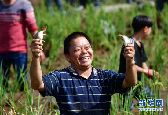 ���S�յ�ζ������1����ɽ�g��c�S��