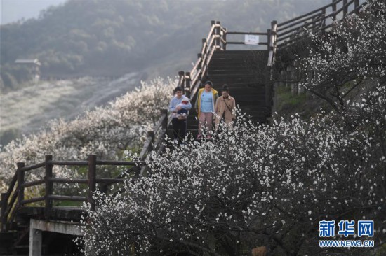 �������Ї�(gu��)����2���㽭��÷��ʢ�_ӭ�́�(l��i)