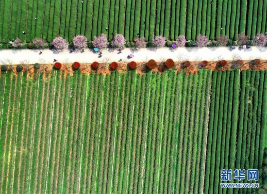 �������������B(t��i)����4�������P�˜�