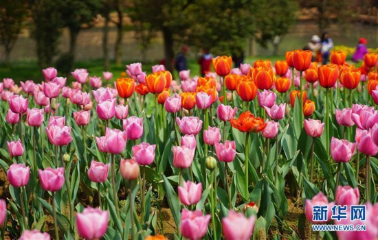 �������������B(t��i)����2�������P�˜�