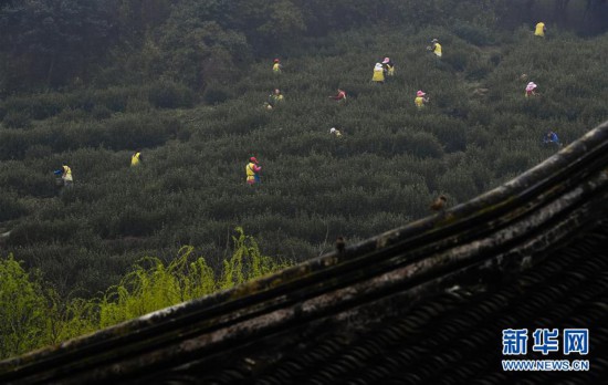 ����(j��ng)��(j��)����4�����K��ͥɽ�����ݴ���ӭ����ժ��