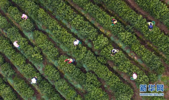 ����(j��ng)��(j��)����2�����K��ͥɽ�����ݴ���ӭ����ժ��