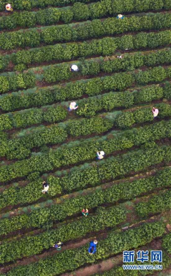 ����(j��ng)��(j��)����6�����K��ͥɽ�����ݴ���ӭ����ժ��