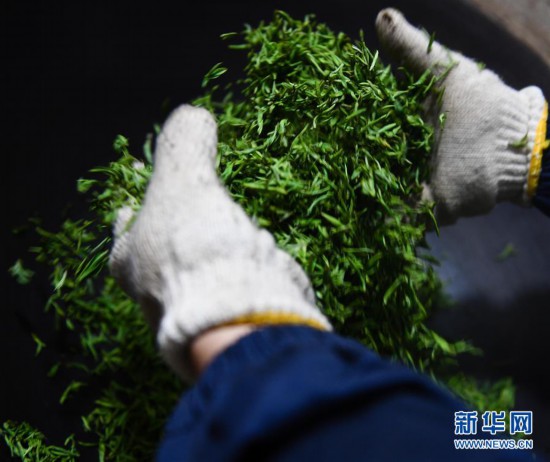 ����(j��ng)��(j��)����5�����K��ͥɽ�����ݴ���ӭ����ժ��