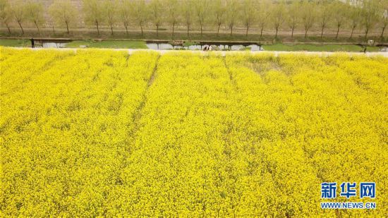 �������������B(t��i)����3���Ͳ˻��_ӭ�́�(l��i)