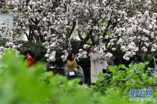 ���h(hu��n)������4��ɽ�|��(j��)�ϣ������ô���