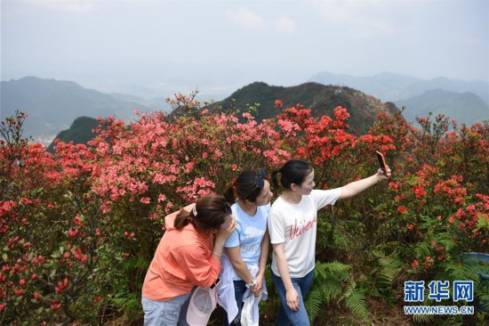 �������������B(t��i)����4���F�ݵ�կ���X���_��ӳɽ�t