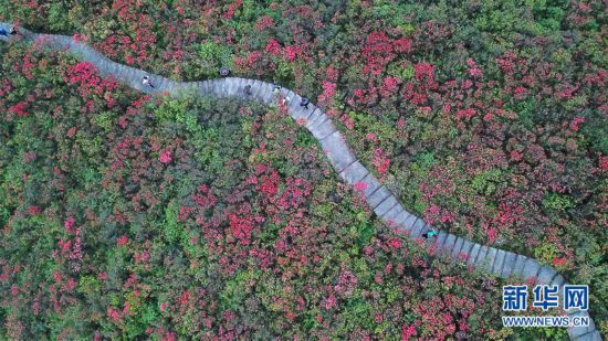 �������������B(t��i)����2���F�ݵ�կ���X���_��ӳɽ�t