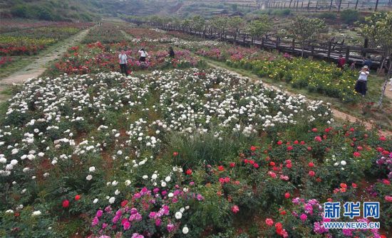 ���������1�����ϸ�Դ������������