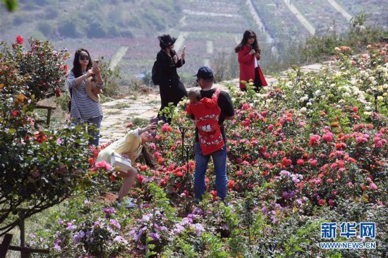 ���������3�����ϸ�Դ������������