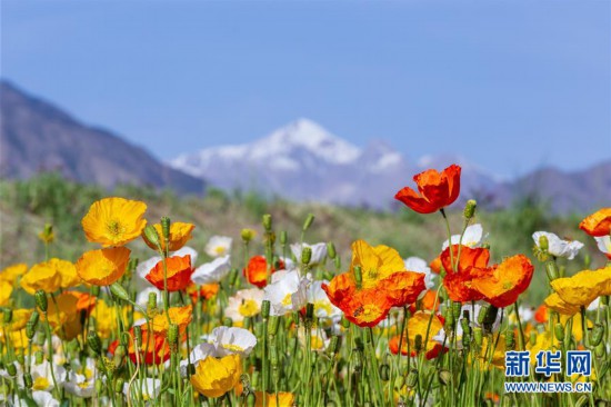 #����(j��ng)������2�����C���_�����Bɽ���f���������_��