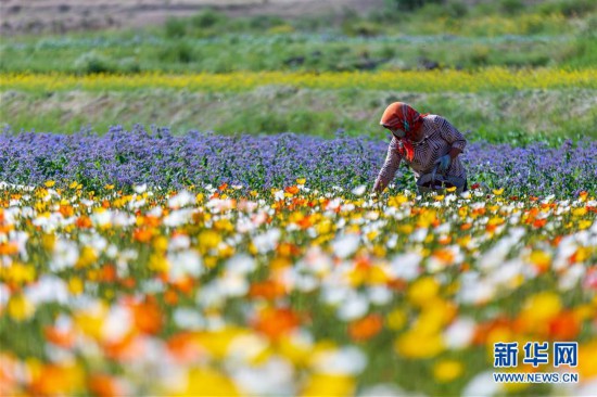 #����(j��ng)������4�����C���_�����Bɽ���f���������_��