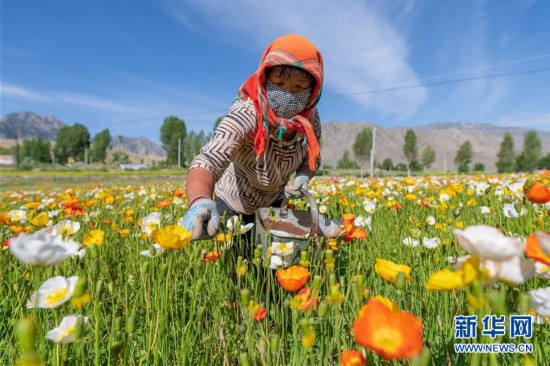 #����(j��ng)������3�����C���_�����Bɽ���f���������_��