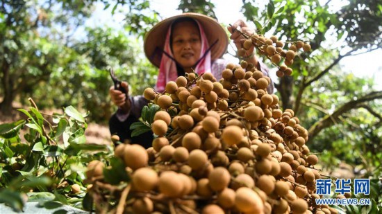 ����(j��ng)��(j��)����2�����۳������́�