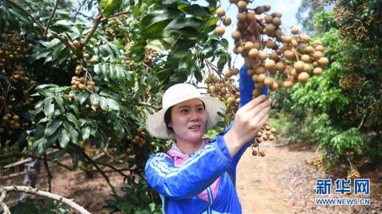 ����(j��ng)��(j��)����1�����۳������́�