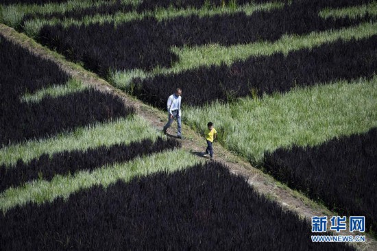 �����(hu��)����4���½������ﮋӭ�˷��ο�