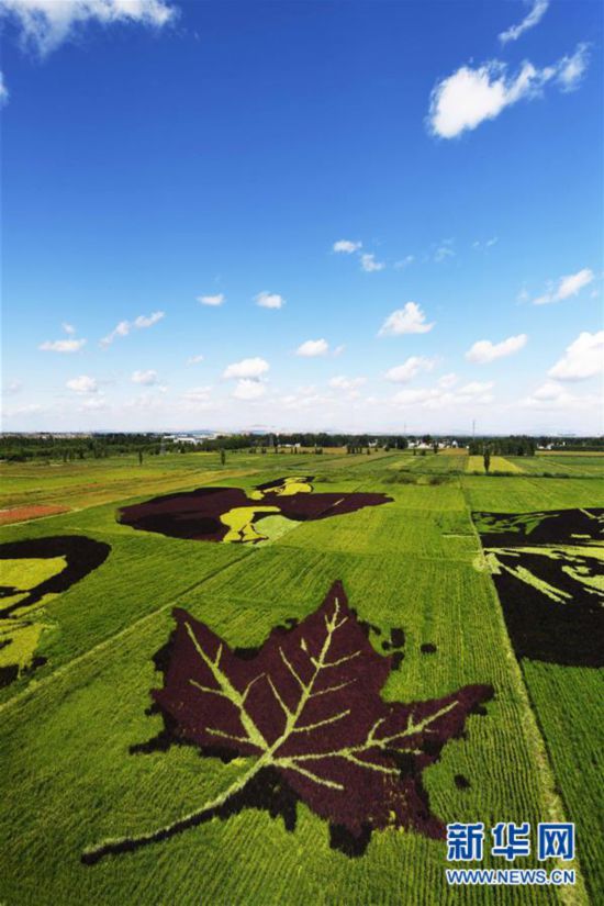 �����(hu��)����2���½������ﮋӭ�˷��ο�