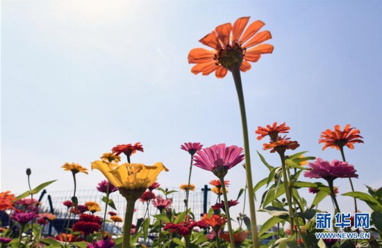 �������Ї�(gu��)����2���L(zh��ng)��ɏ��ɽ������������