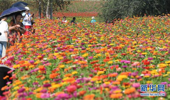 �������Ї�(gu��)����5���L(zh��ng)��ɏ��ɽ������������