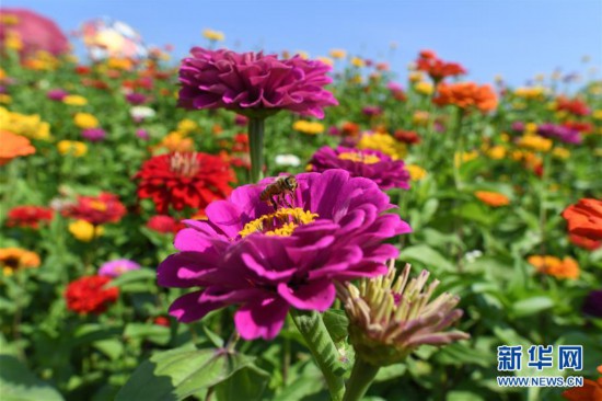 �������Ї�(gu��)����3���L(zh��ng)��ɏ��ɽ������������