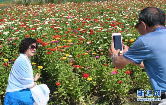 �������Ї�(gu��)����6���L(zh��ng)��ɏ��ɽ������������