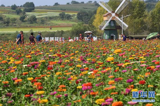 �������Ї�(gu��)����4���L(zh��ng)��ɏ��ɽ������������