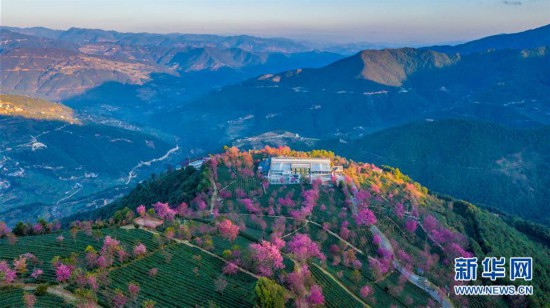 �������Ї�����4���o��ɽ�ѻ��ȣ���@���G �ѻ���ϼ