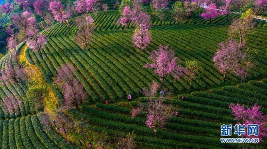 �������Ї�����1���o��ɽ�ѻ��ȣ���@���G �ѻ���ϼ